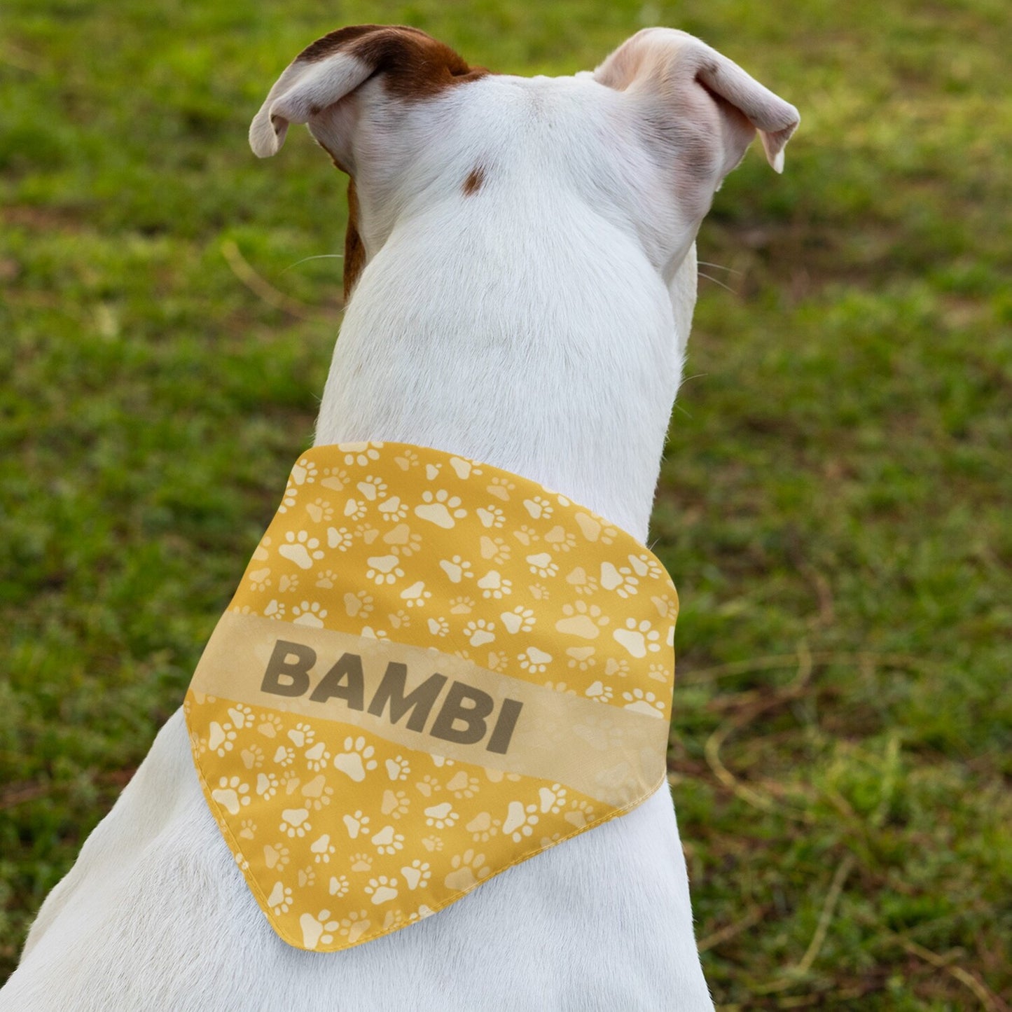Bandana "Oranje"