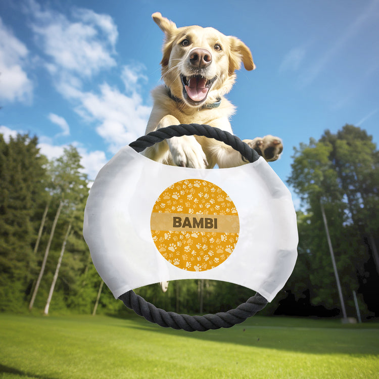 Frisbee "Oranje"